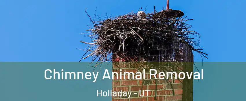  Chimney Animal Removal Holladay - UT