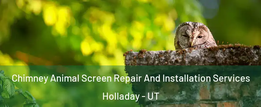  Chimney Animal Screen Repair And Installation Services Holladay - UT