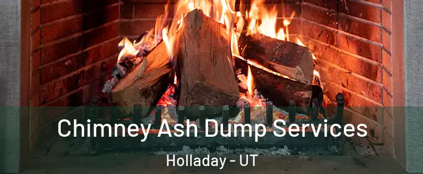  Chimney Ash Dump Services Holladay - UT