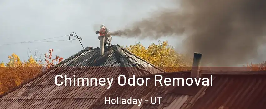  Chimney Odor Removal Holladay - UT