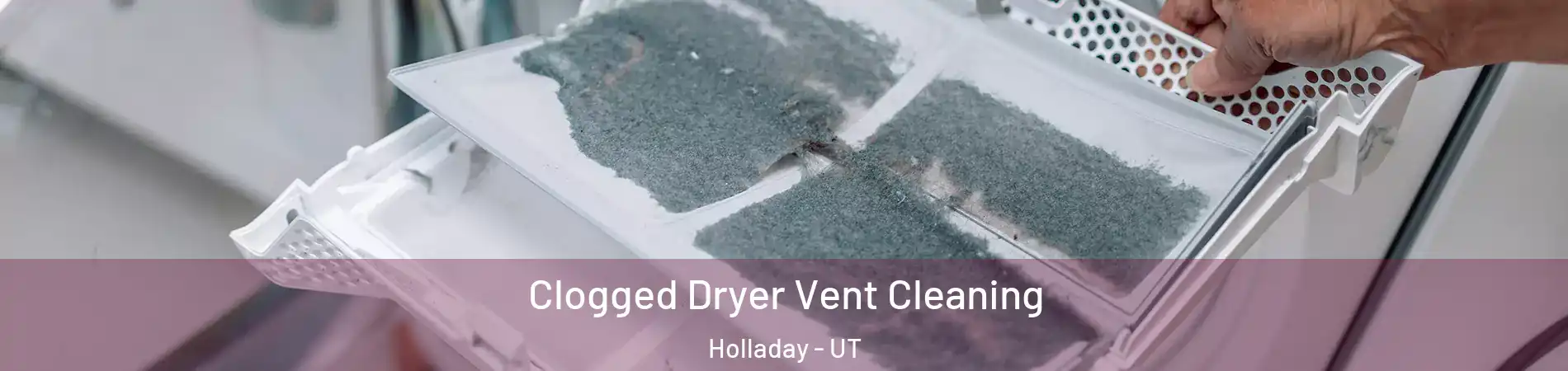  Clogged Dryer Vent Cleaning Holladay - UT