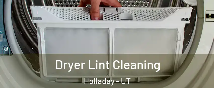  Dryer Lint Cleaning Holladay - UT