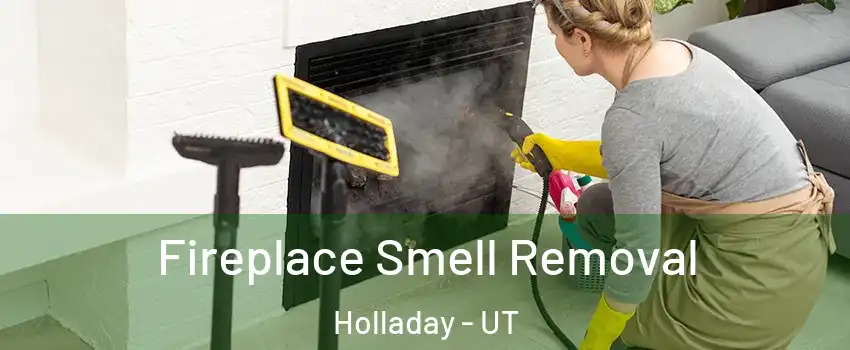  Fireplace Smell Removal Holladay - UT