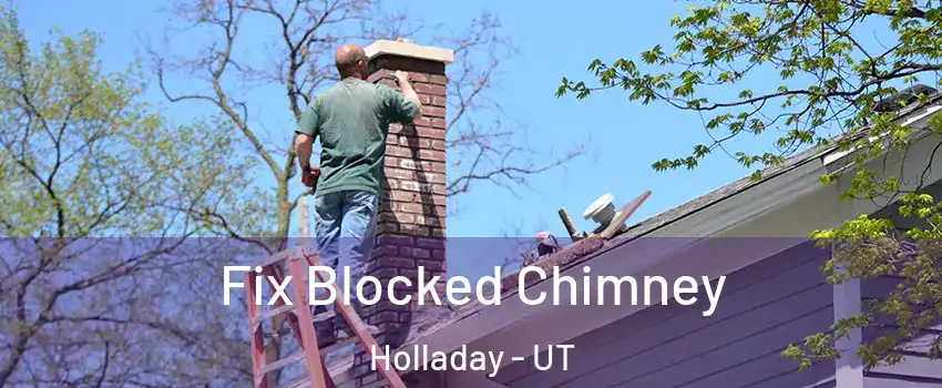  Fix Blocked Chimney Holladay - UT