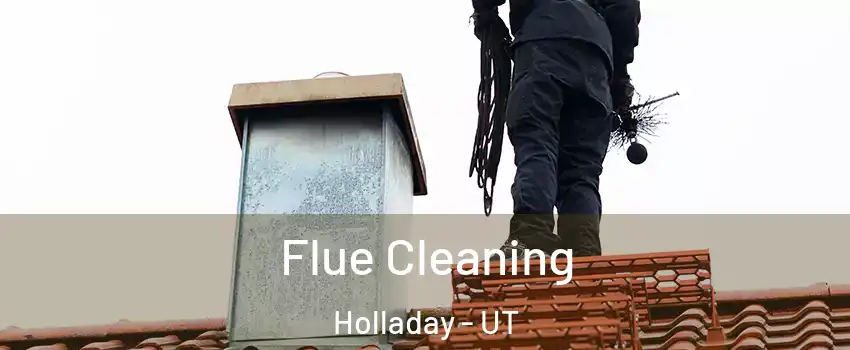  Flue Cleaning Holladay - UT