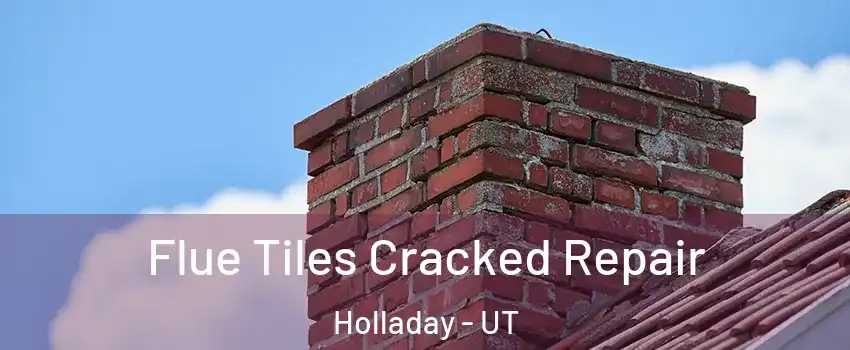  Flue Tiles Cracked Repair Holladay - UT