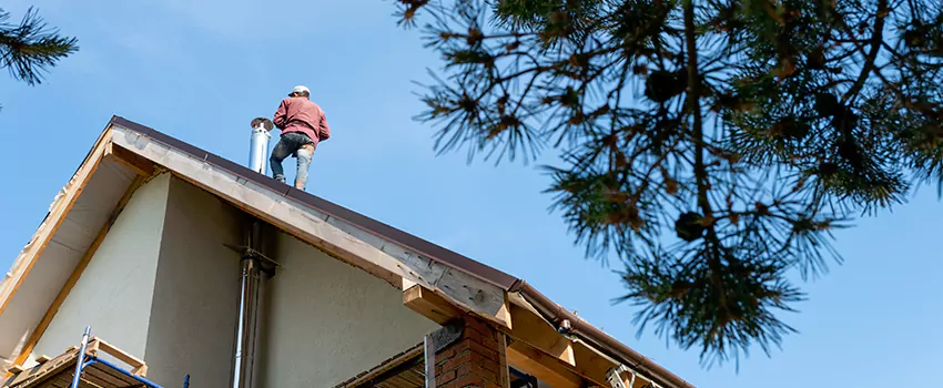 Birds Removal Contractors from Chimney in Holladay, UT