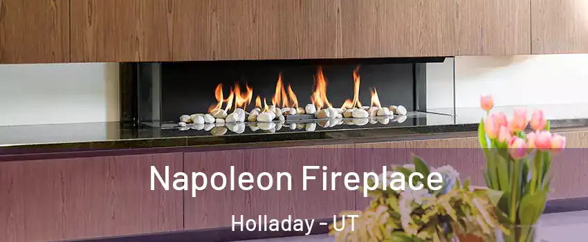  Napoleon Fireplace Holladay - UT